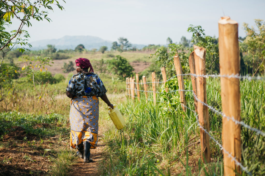 woman carrying water | The Global Water Crisis & The Impact | Water For People