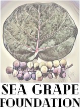 sea-grape-logo_orig