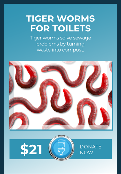 VirtualGiving_TigerWorms