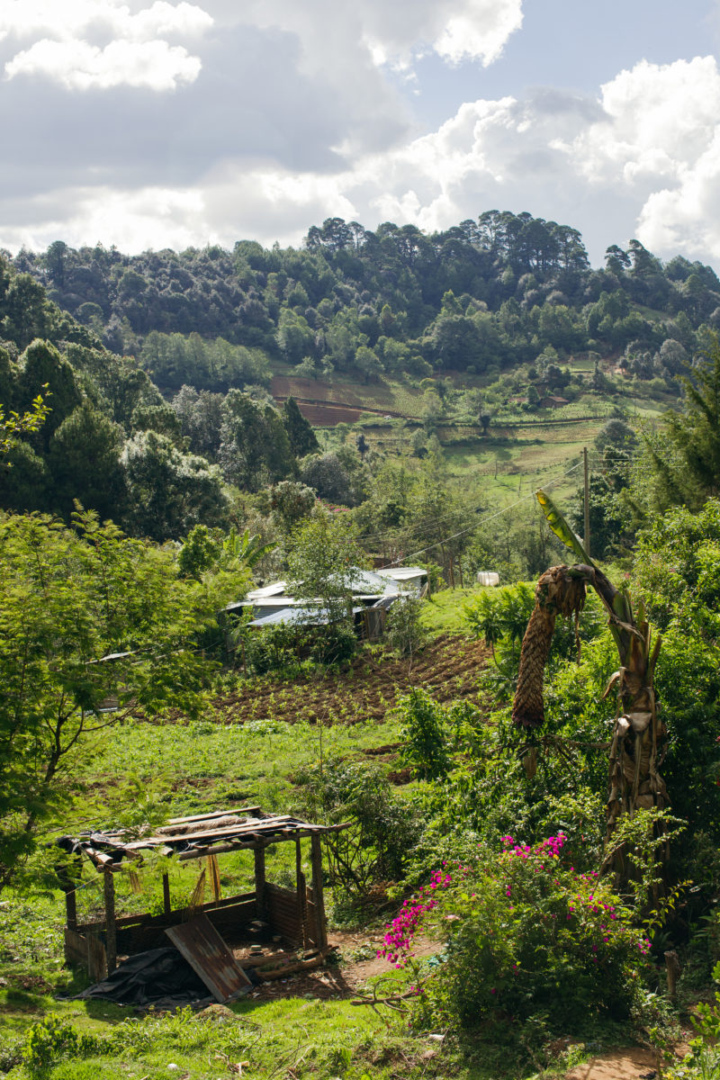 Large green hill with small wooden buildings 