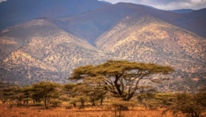 Photograph of a dry landscape in Tanzania, with mountains in the distance