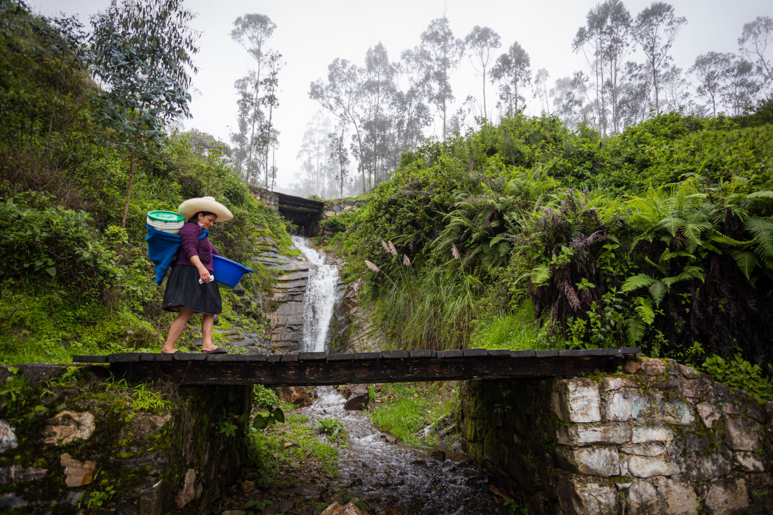 A woman wearing a large hat, purple shirt, and black skirt walks across a bridge carrying buckets in her arms and on her back. She walks over a bridge with vegetation and a waterfall in the background.