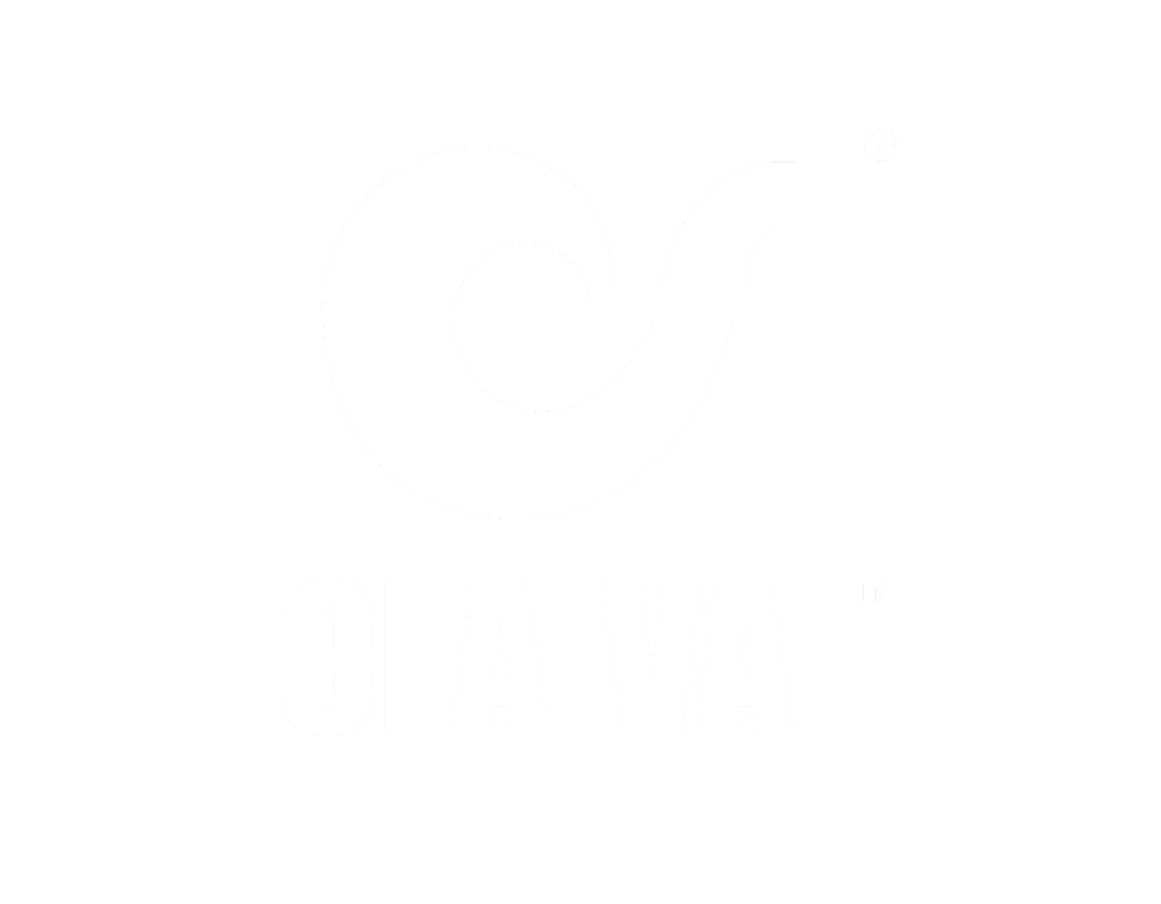 https://www.waterforpeople.org/wp-content/uploads/2023/07/Cla-Val-logo-white-web-sized.png
