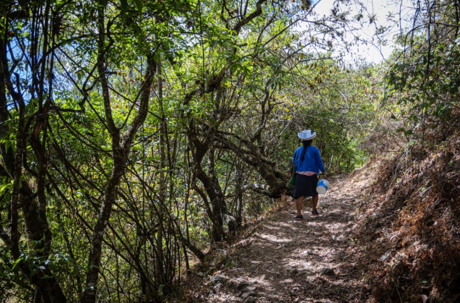 A woman wearing a white hat walks along a narrow forest path carrying a bucket, heading toward a rural water source surrounded by trees.