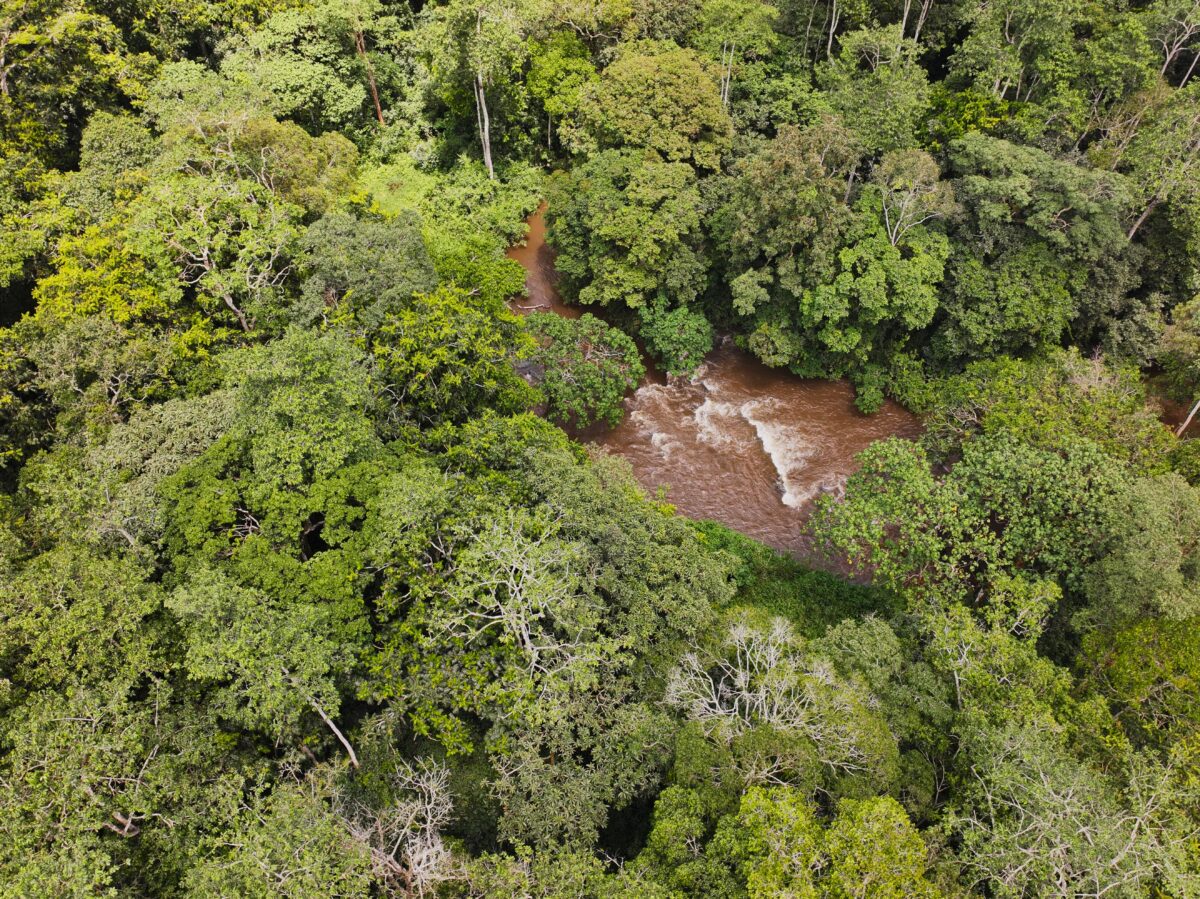 Aerial view of the Mpanga river winding through dense green forest canopy