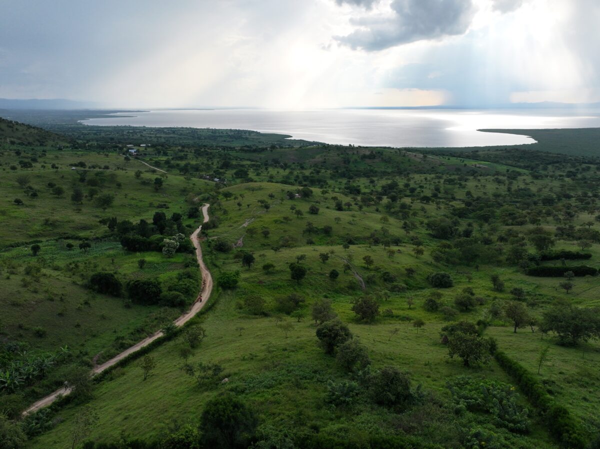 Aerial view of a winding dirt road crossing green grasslands toward a distant body of water, the lake George, in the Mpanga watershed