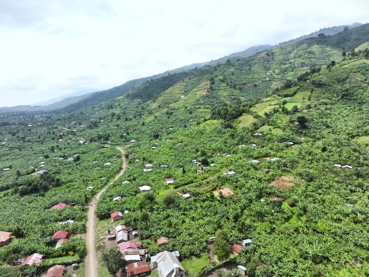 Aerial view of a rural hillside landscape with small homes, winding roads, and lush greenery.