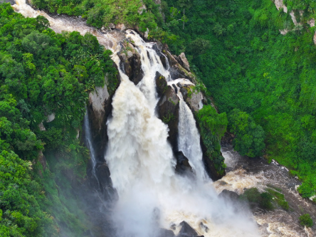 Powerful waterfall cascading over dark rock cliffs, surrounded by dense green forest.