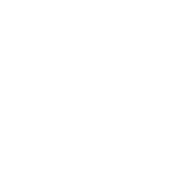 Icon in circle_aanitation_white