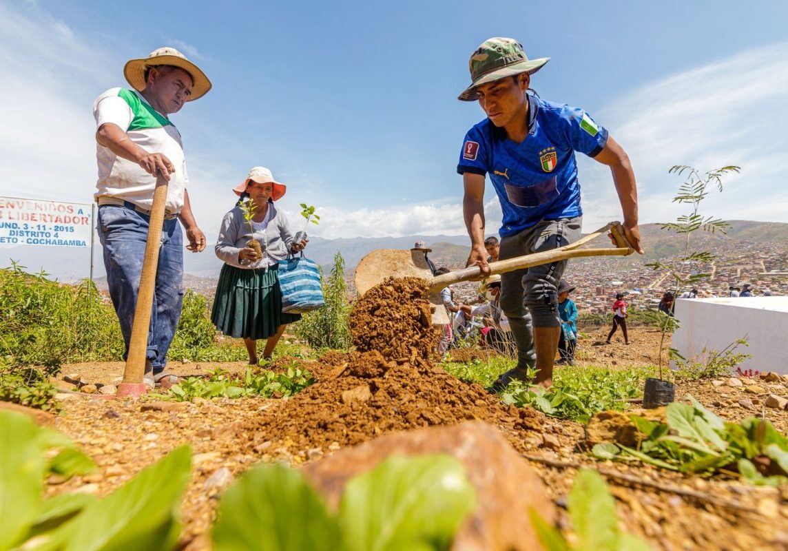 Community members plant trees in Arbieto, Bolivia, to help with restoring the area's groundwater supply.