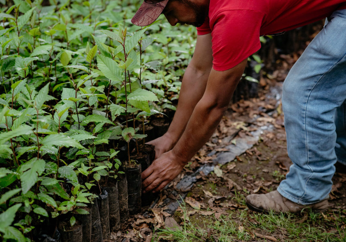 Guatemala_Quiché_Water Recharge and Tree Planting_2024 (2)