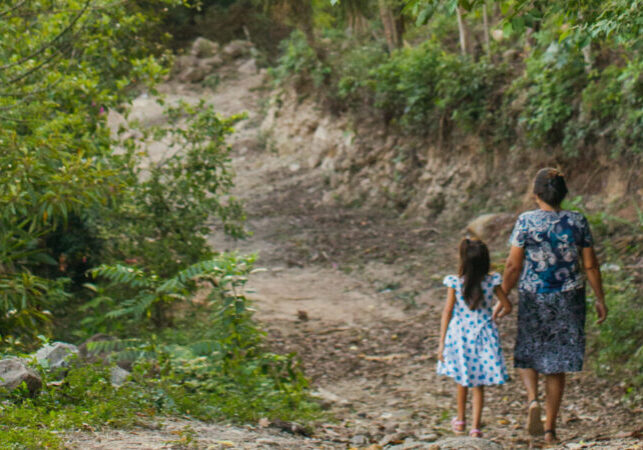 Photograph of a woman and a small child walking away from the camera on a road surrounded by green plants
