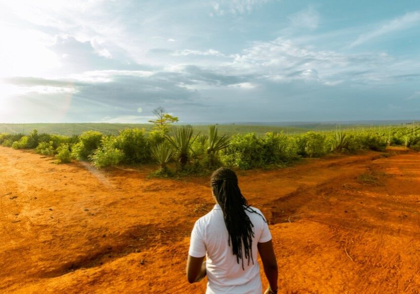 Photograph of a person standing in a dirt road with lush green in the distance